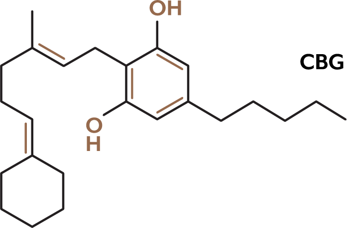 De Herborist CBG molecule