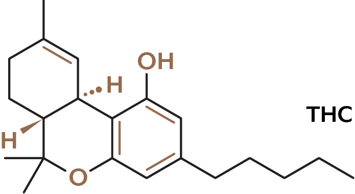 De Herborist THC molecule